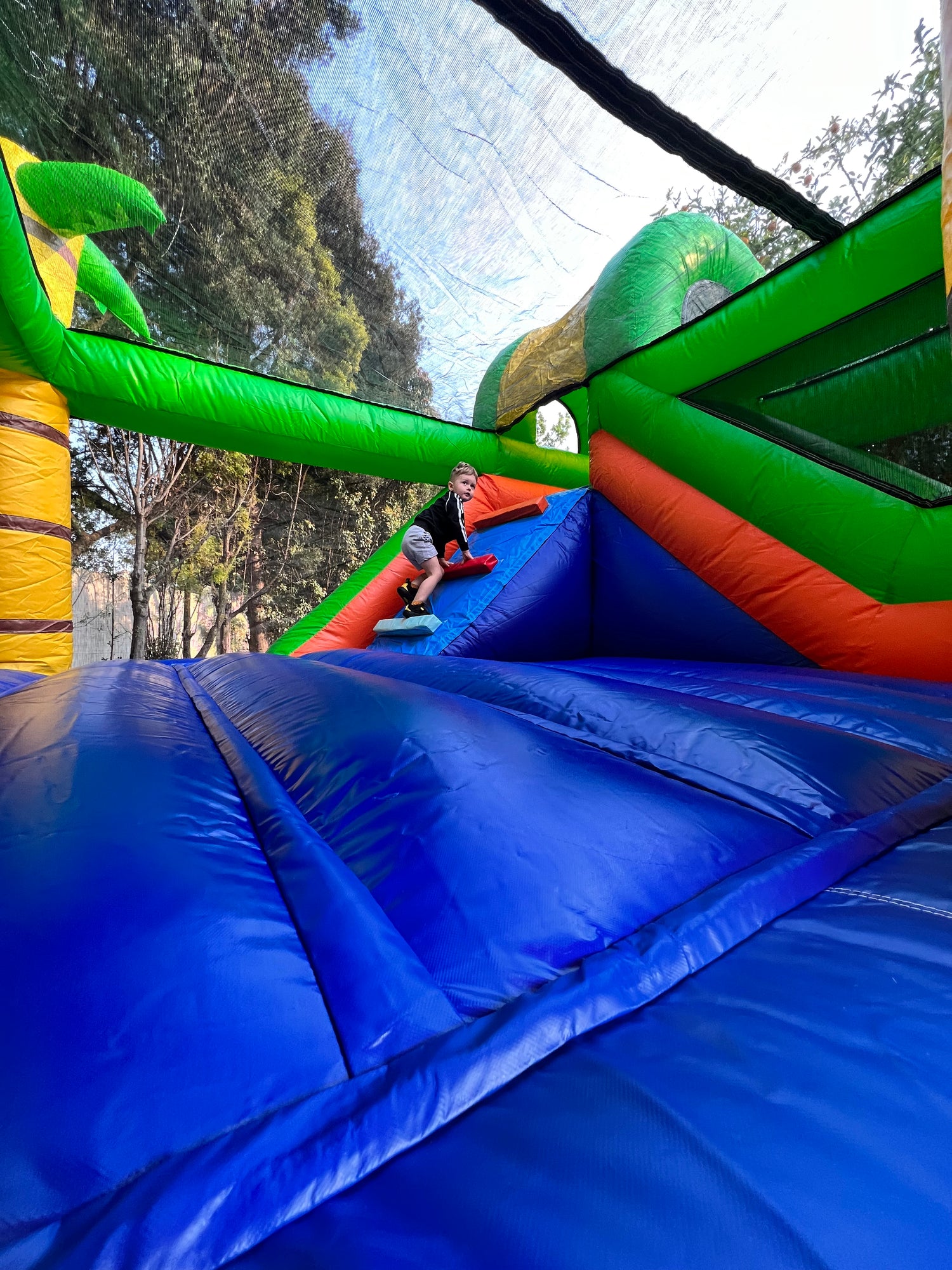 Jungle-Themed Jumping Castle