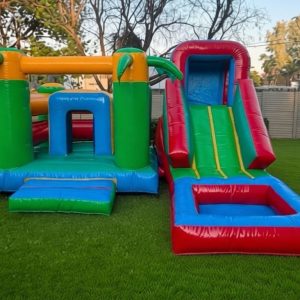 Jungle Gym